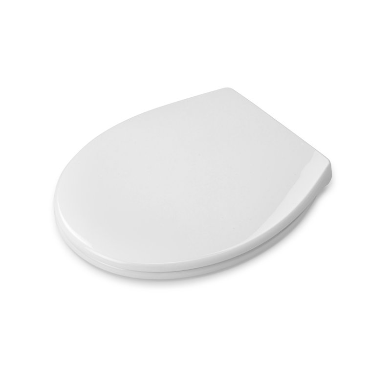 Croydex Lesina Soft Close D Shaped Family Toilet Seat Wayfair.co.uk